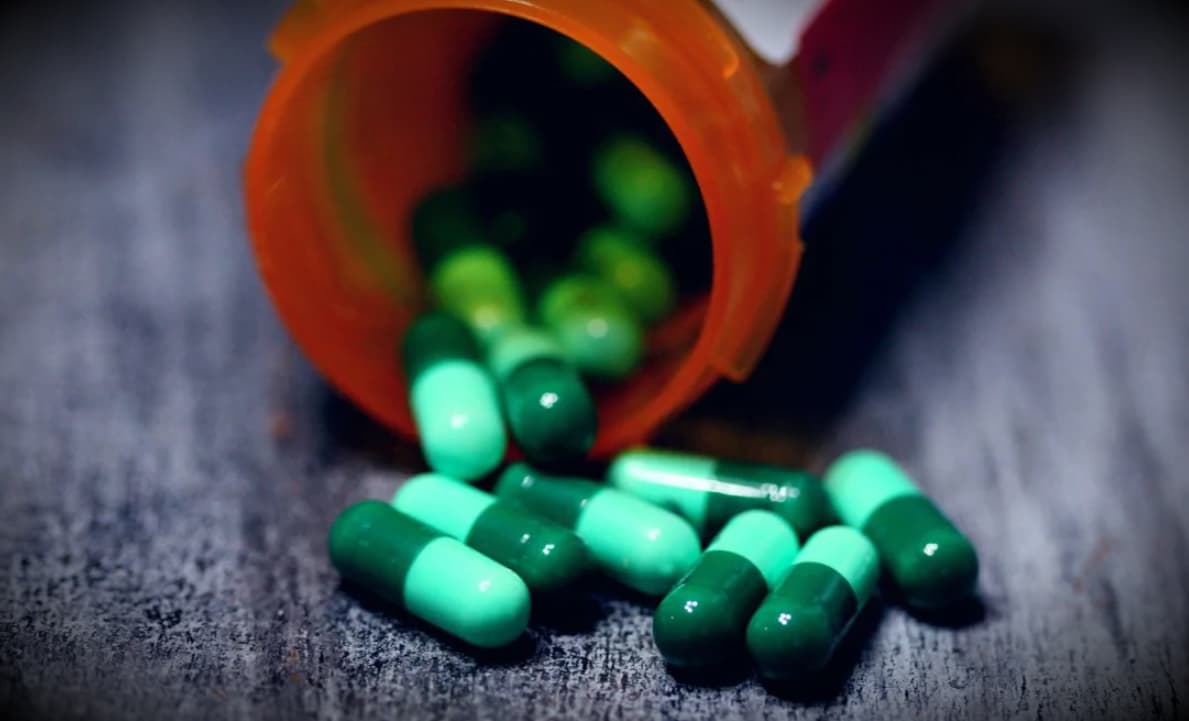 जैकलीन फर्नांडीज अपने थ्रोबैक वीडियो को लेकर हुई ट्रोल, यूजर्स बोले- बॉडीगार्ड भी सुकेश से अच्छे दिखते...