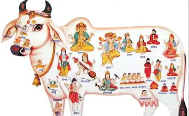 बिकिनी फोटो के बाद शिमरी शॉर्ट ड्रेस में हिना खान की तसवीर वायरल, ‘तूफानी सीनियर’ का बोल्ड अंदाज देख फैंस के उड़े होश