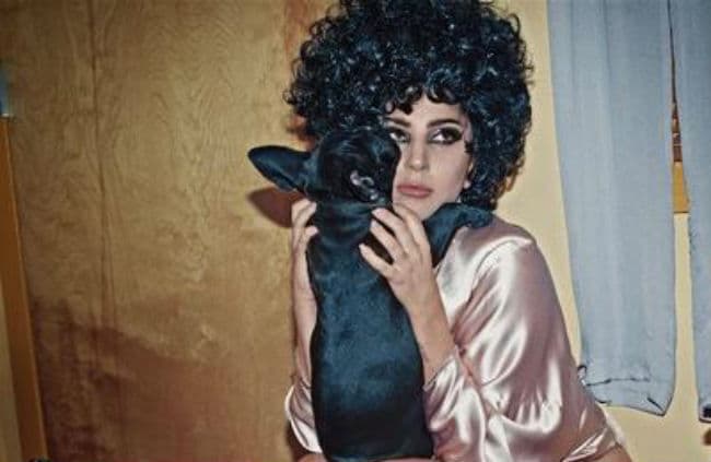 इंस्टाग्राम पर लेडी गागा ने की नई तस्वीर अपलोड