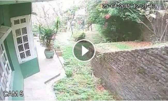 काठमांडू में जलजले का कहर सीसीटीवी कैमरे में हुआ कैद, फेसबुक पर नेपाली युवक ने पोस्ट किया ये वीडियो