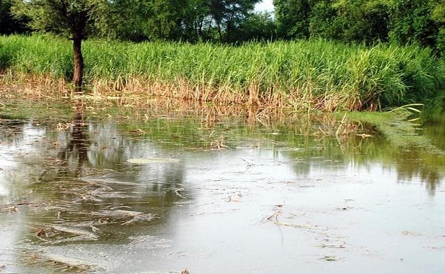 बिहार : बाढ़ से फसल क्षतिपूर्ति के लिए जिलों काे 894 करोड़ आवंटित