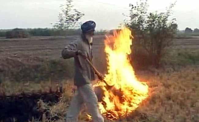 किसानों ने कहा, कोई रास्ता ढूँढ़ें सरकार बोली हम पराली खरीदेंगे