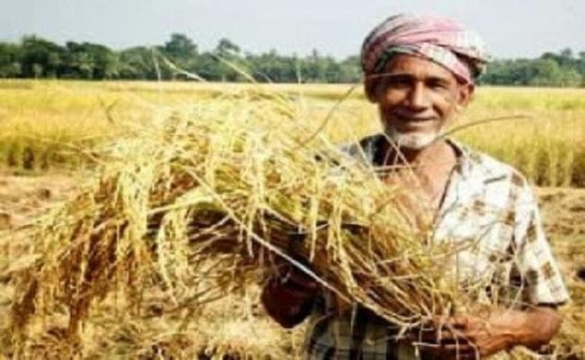 बजट में कृषि कर्ज के लक्ष्य को बढ़ाकर 10 लाख करोड़ कर सकती है सरकार