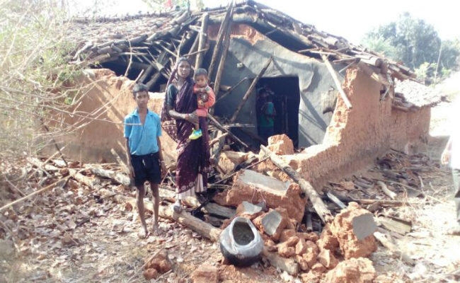 गुमला के जारी में हाथी घुसे, उत्पात मचाया, कई घरों को तोड़ा, लोगों ने भागकर जान बचायी