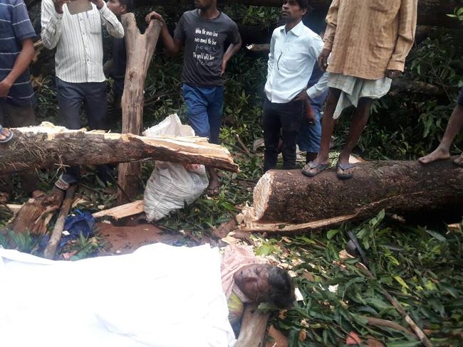 गुमला : बाजार में विशाल आम का पेड़ गिरा, तीन लोगों की दबकर मौत, 25 लोग घायल