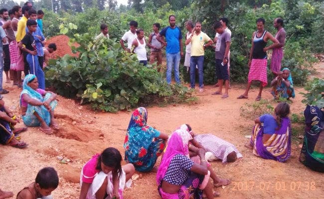 गिरिडीह : हाथी ने कुचल कर मार डाला