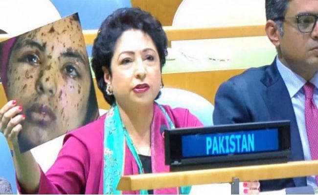 UNGA Fake Photo Issue : फोटोग्राफर ने भी जतायी हैरानी, पाकिस्तान पर होगी कड़ी कार्रवाई!