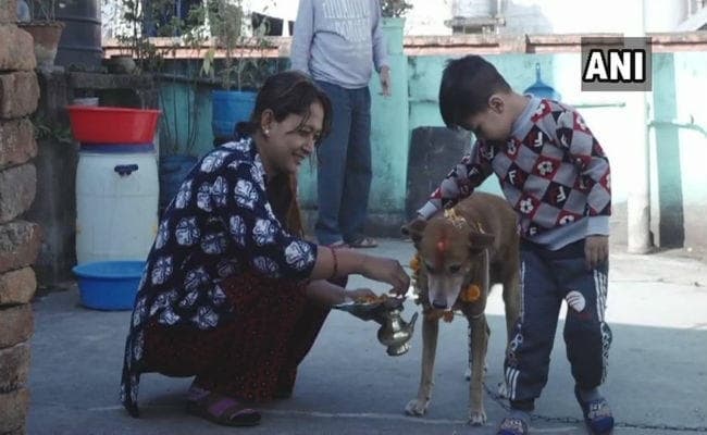 OMG : नेपाल में कुकुरों की पूजा, चीन में टहलाने पर प्रतिबंध…?