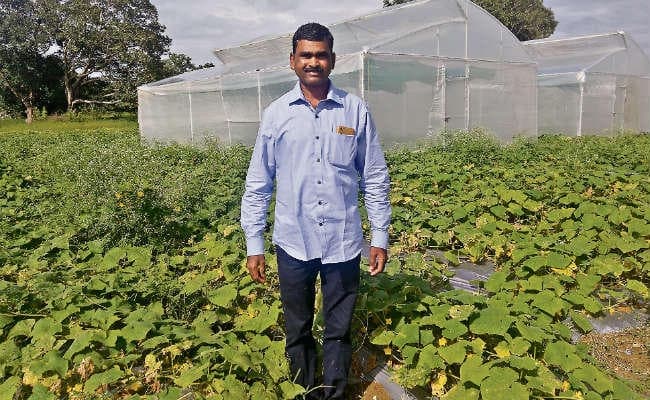 इस्राइल से लौटे किसान गंदूरा उरांव उन्नत तकनीक से करेंगे खेती