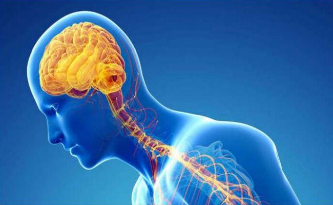 Research: पार्किंसंस की बीमारी को ठीक करने में कारगर औषधि है संगीत