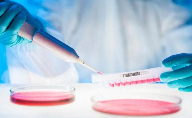 Good News: ब्रेन कैंसर को फैलने से रोकेगी यह नयी दवा