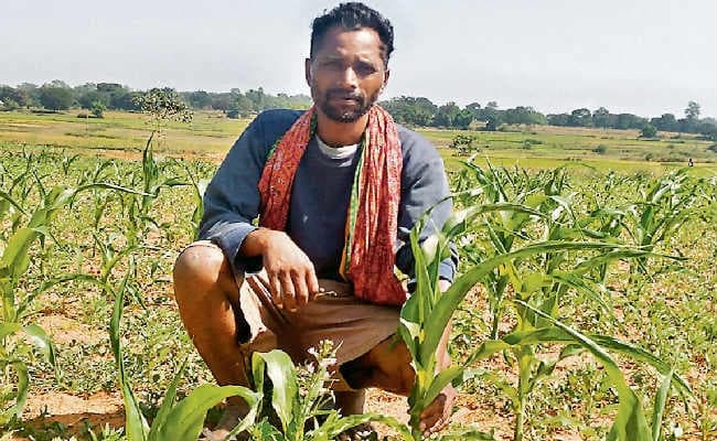 रांची : इजराइल दौरे के बाद ब्रांड एंबेसडर बनने को तैयार हैं सूबे के किसान