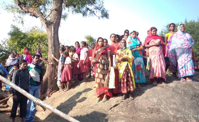 अंधविश्वास : नीम के पेड़ से निकल रहा दूध, भगवान का चमत्कार मान हर रोज हो रही पूजा