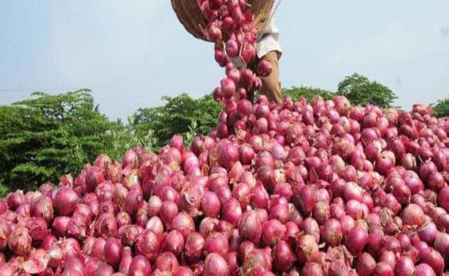 संजय साठे के कदम पर चेती फडनवीस सरकार, महाराष्ट्र के प्याज किसानों को अब प्याज की मिलेगी वाजिब कीमत