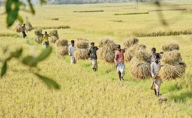 आम चुनाव से पहले नये साल पर किसानों को तोहफा देने की तैयारी में मोदी सरकार, जानिये…