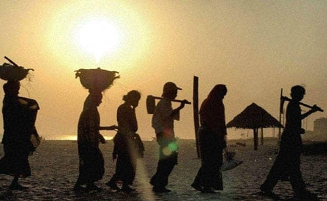 रोजगार और सामाजिक सुरक्षा