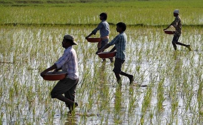 किसानी से डरने वाला समाज