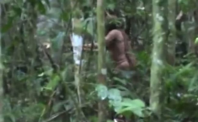VIDEO: 22 वर्षों से अमेजन के जंगलों में अकेले रह रहा यह शख्स आया कैमरे की नजर में