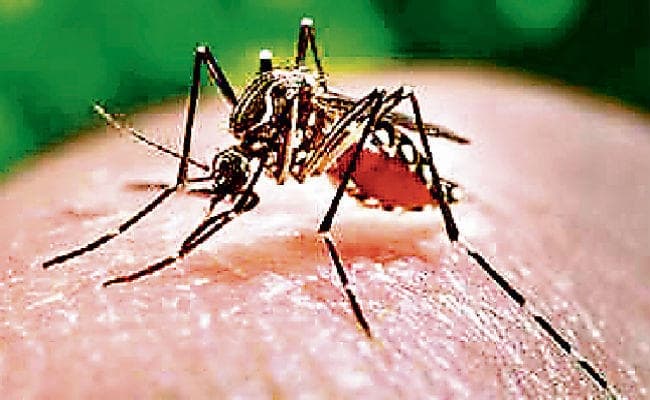 रांची : आठ जिलों में मलेरिया के इलाज की दवा ही नहीं