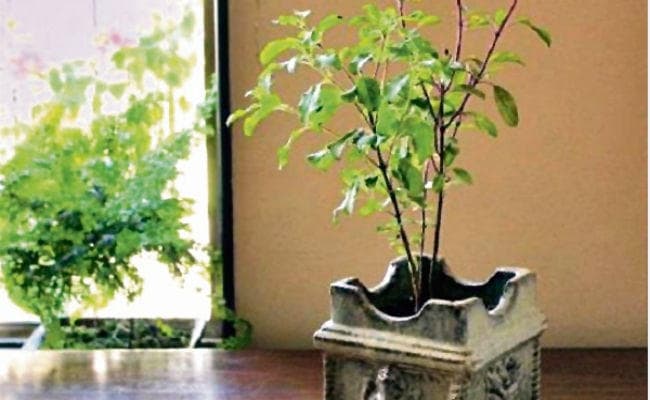 ज्योतिष: घर पर पर्यावरण वास्तु का भी पड़ता है प्रभाव