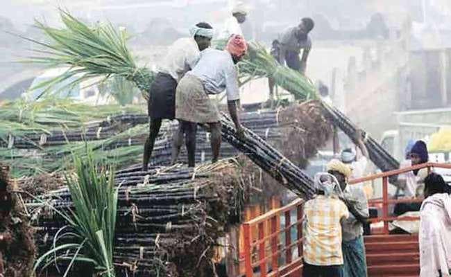 सरकार ने चीनी उद्योग के लिए 5,500 करोड़ रुपये का पैकेज किया मंजूर सरकार ने चीनी उद्योग के लिए 5,500 करोड़ रुपये का पैकेज किया मंजूर