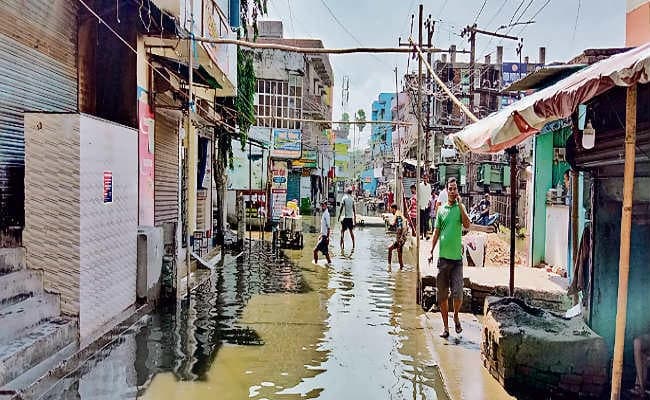 जिनको वोट दिया, वही गायब हो गये बरसाती मेढक की तरह