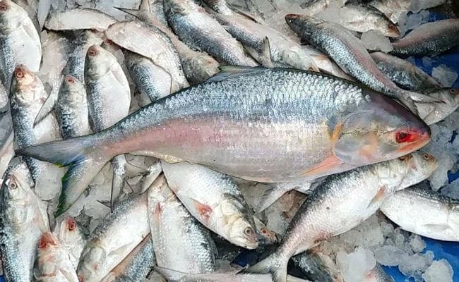 बांग्लादेशी हिल्सा आने से बाजारों में छायी रौनक