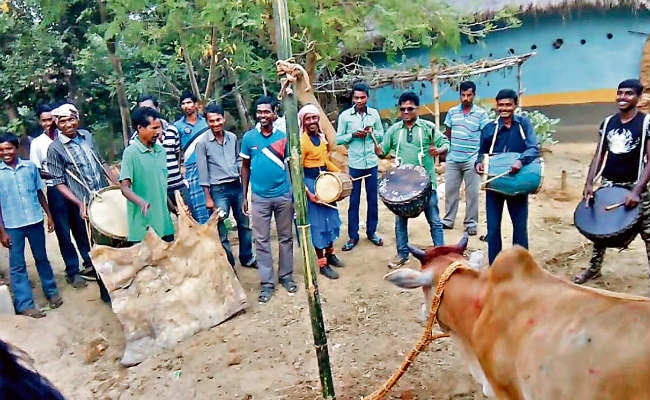 बांदना परब में सभी विधि-विधान महिलाएं ही पूरा करती हैं