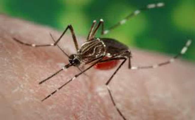दो युवकों में मिले डेंगू के लक्षण, चल रहा इलाज