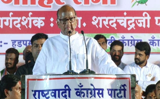 महाराष्ट्र विधानसभा चुनाव: जानिए किन कारणों से मजबूत हुई 79 वर्षीय शरद पवार की NCP