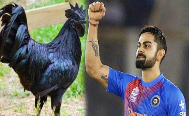 कोहली और बीसीसीआई को सलाह – टीम इंडिया के खिलाड़ियों को खिलाएं ”कड़कनाथ चिकन”