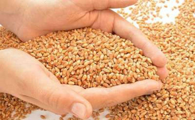 पटना : हॉस्टलों के आठ हजार छात्रों को मिलेगा मुफ्त में अनाज