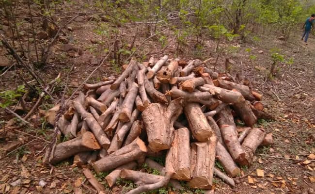 लकड़ी तस्करों ने किया वनकर्मियों की गाड़ी में आग लगाने का प्रयास, छापेमारी करने गयी टीम उल्टे पांव लौटी