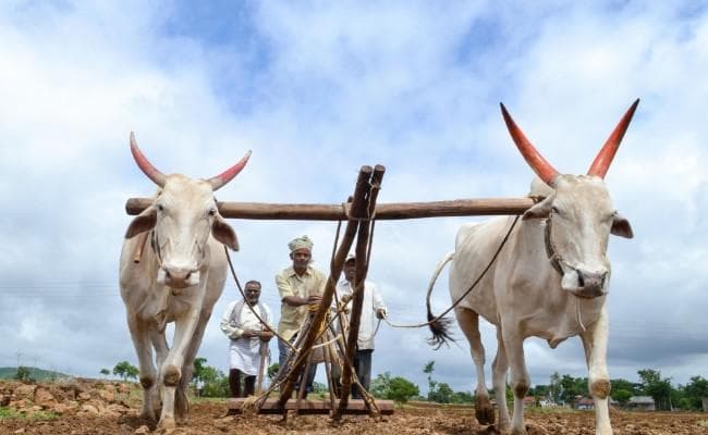 किसानों की आमदनी बढ़ाने, कृषि और संबद्ध कृषि क्षेत्र बुनियादी ढांचा विकास में बड़ा निवेश करेगी सरकार