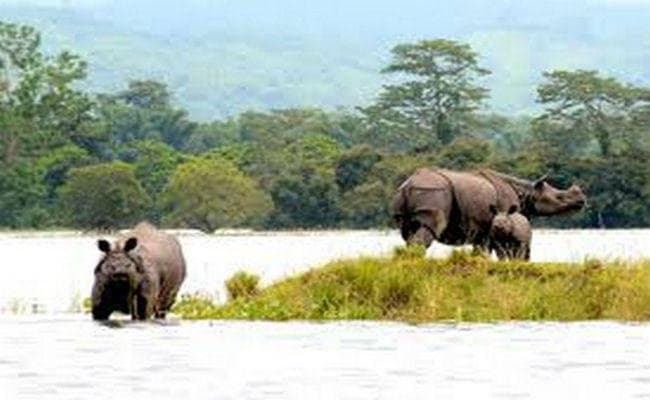 मैदान से पहाड़ तक बारिश-बाढ़ का कहर, पुर्वोत्तर में बिगड़े हालात, 10 लाख से ज्यादा प्रभावित