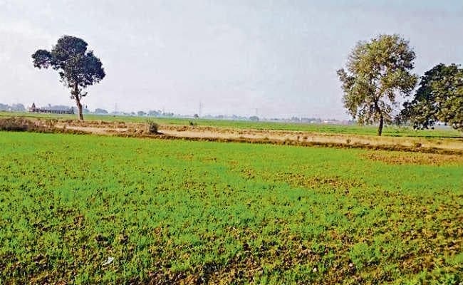 कानून और भूस्वामी के बीच फंसी 73 हजार एकड़ जमीन, 58 सालबाद कोर्ट के फैसले पर टिकी है भूस्वामियों की नजर