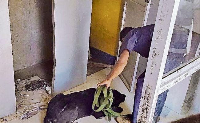 पश्चिमी चंपारण : 28.83 लाख कैश के साथ एटीएम उखाड़ ले गये लुटेरे