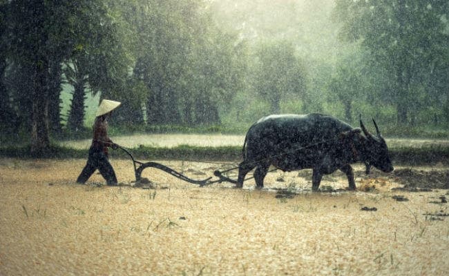 देश में 1994 के बाद इस मानसून हुई सबसे अधिक वर्षा : मौसम विभाग