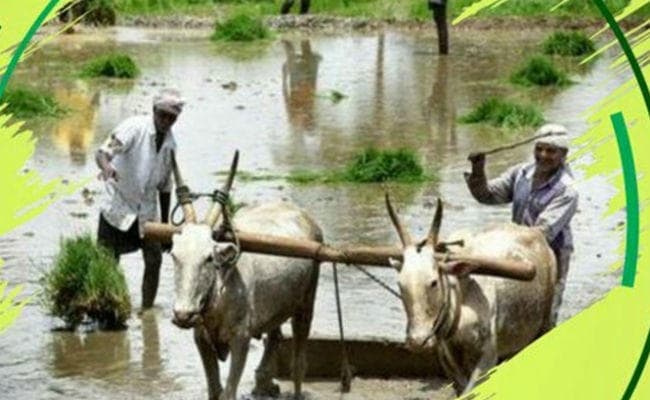 Budget 2020 पर एक्सपर्ट व्यू : ग्रामीण अर्थव्यवस्था को मिलेगी मजबूती