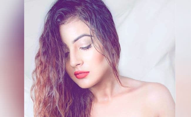 शहनाज गिल की ये बोल्ड तस्वीर इंटरनेट पर लगा रहीं है आग, हॉट अवतार देख फैंस के उड़े होश