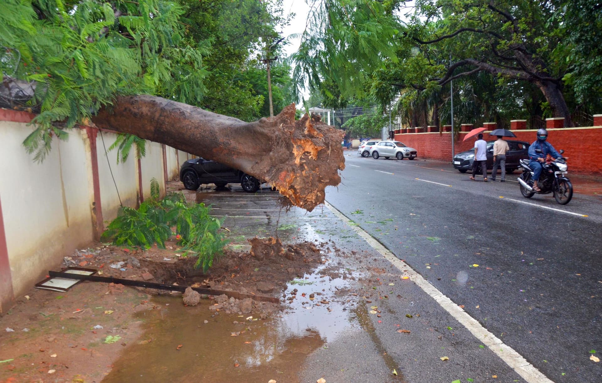 Cyclone Yaas Updates : चक्रवात ‘यास’ पहुंचा झारखंड, उखड़ गया विशाल पेड़, कई जिले जलमग्न, जानें कैसे तांडव मचा रहा है तूफान
