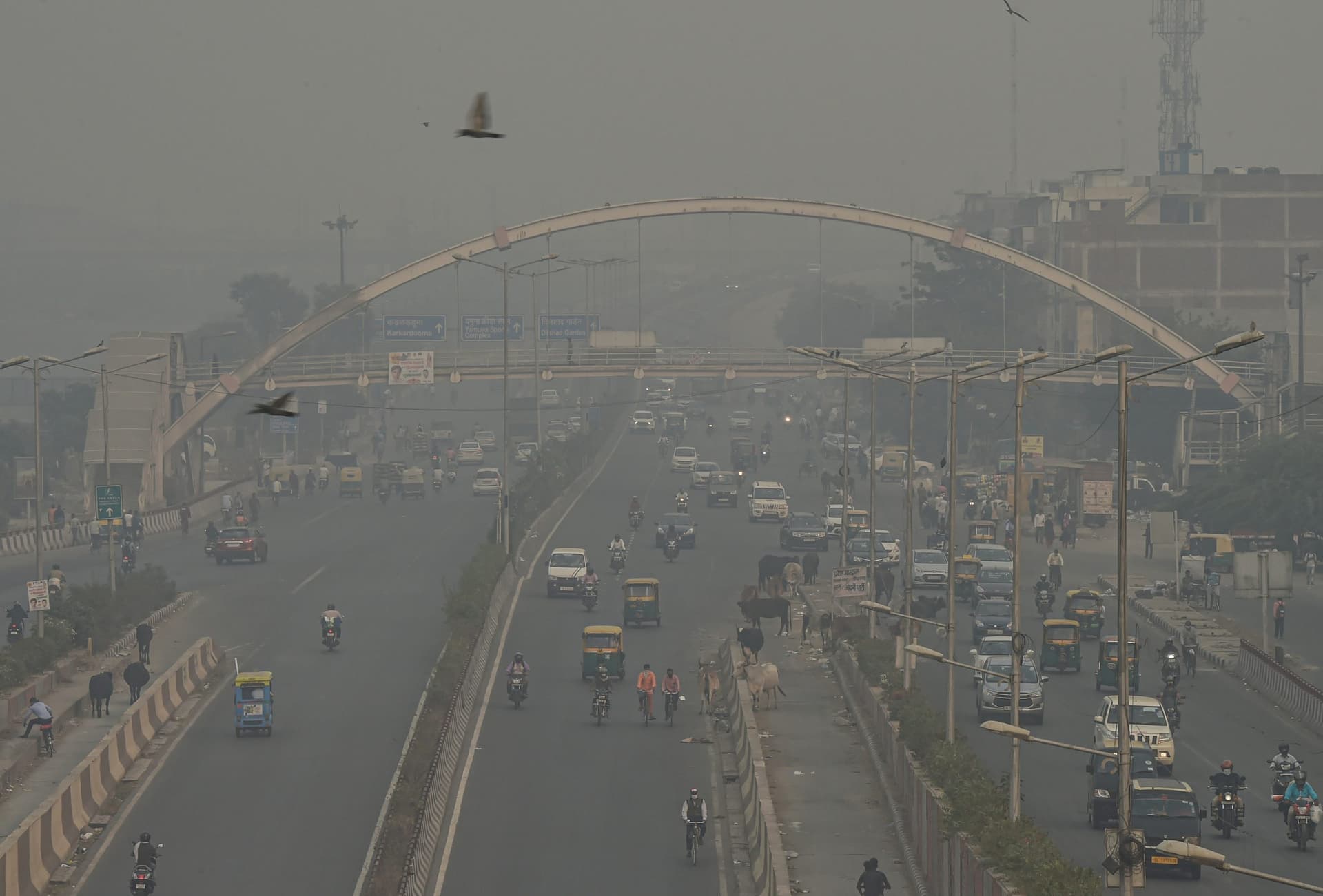 Weather Forecast: ठंड ने दी दस्तक, वायु प्रदूषण से बेहाल हुई दिल्ली, जानें अन्य राज्यों के मौसम का हाल