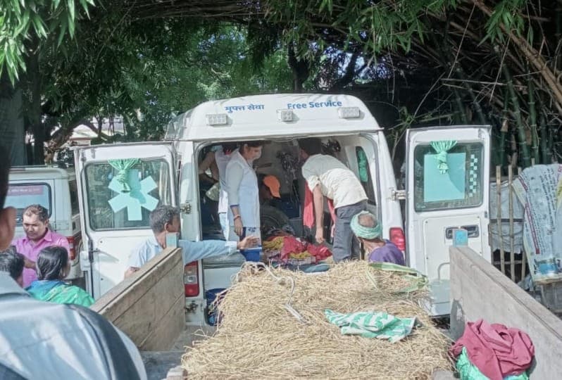 बिहार में भालू का आतंक, बेतिया में किसान का मांस चबाया, हमले में आंख भी फूटी…