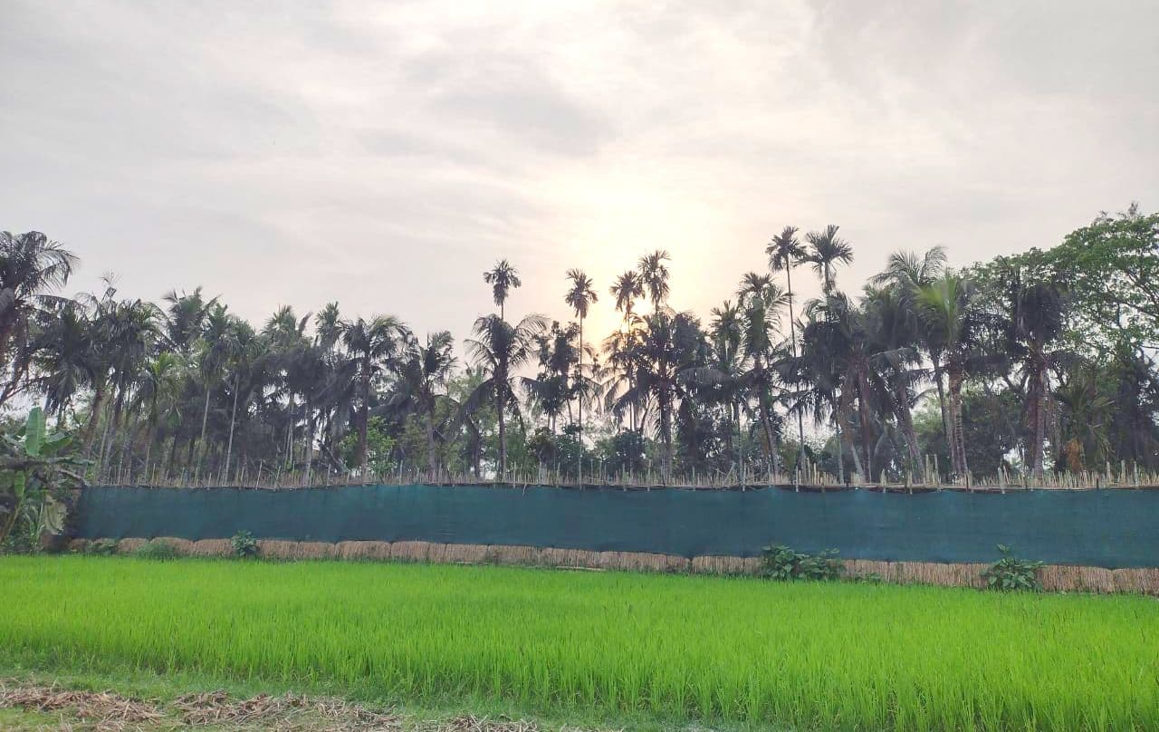 Ground ZERO Nandigram: मैं हूं ब्रांड ‘नंदीग्राम’… बंगाल चुनाव की हॉट सीट की कहानी, आंखों की जुबानी…
