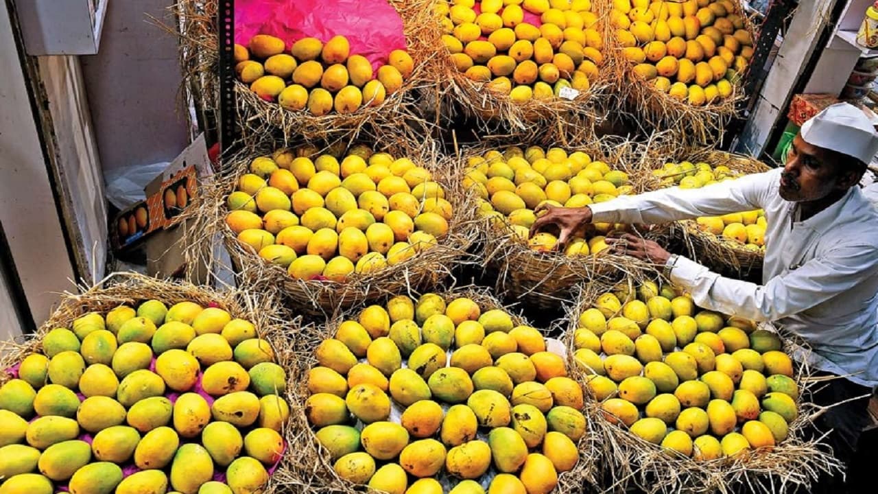Bihar News: गंगा में तीन युवकों की डूबने से मौत, 3 घंटे की कड़ी मशक्त के बाद गोताखोरों की टीम को मिला शव