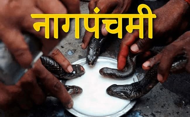 Nag Panchami 2020: नाग पंचमी कब है, जानिए इस दिन क्यों की जाती है नाग देवता की पूजा