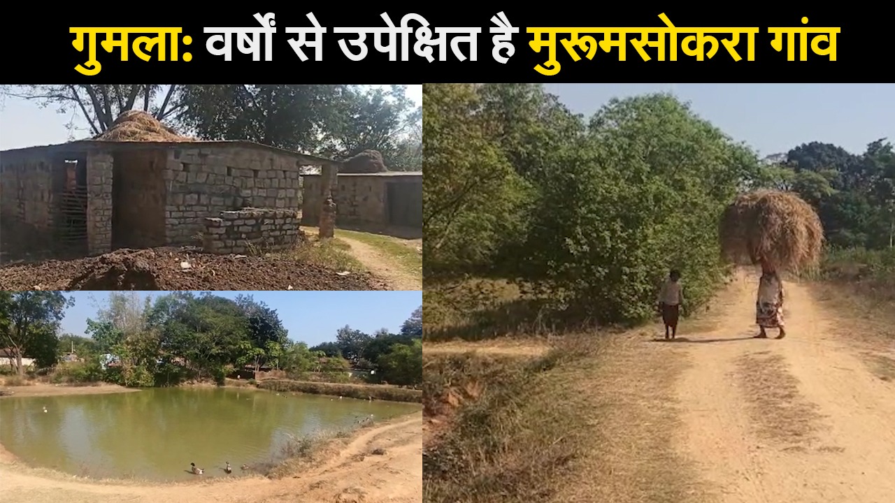 गुमला: वर्षों से उपेक्षित है मुरूमसोकरा गांव, पीना पड़ता है झरने का पानी