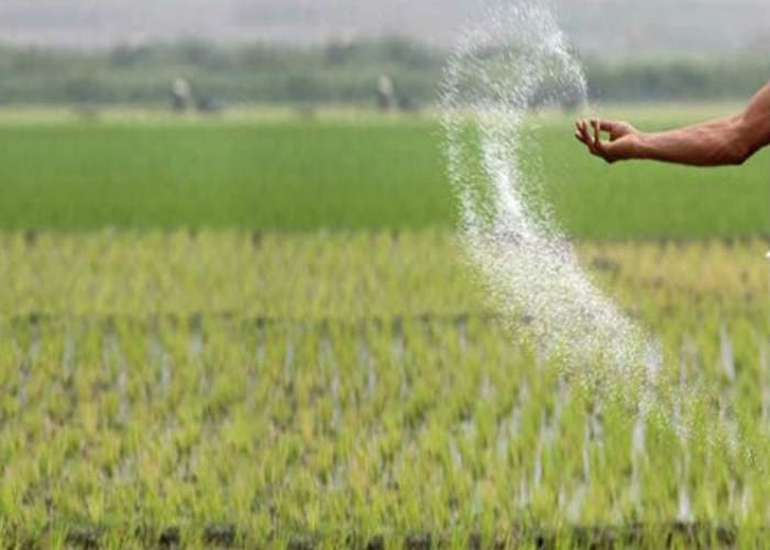विश्व साक्षरता दिवस : साक्षरता दर बढ़ाने में बड़कागांव प्रखंड को राज्य में अव्वल दर्जा