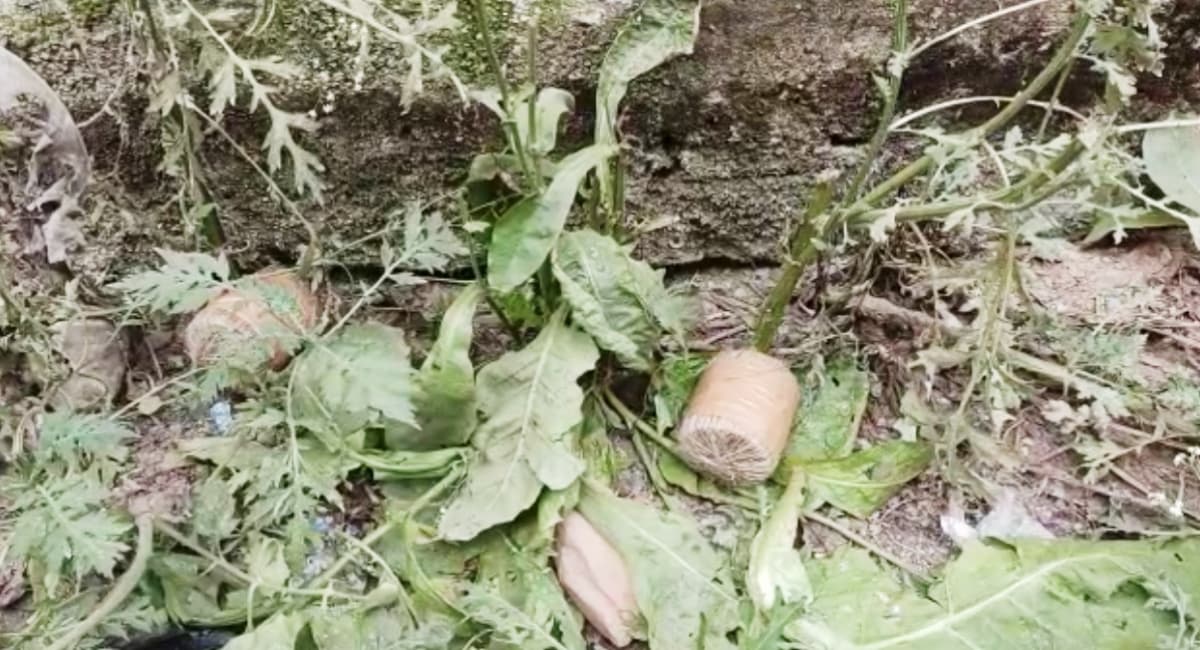 Bhagalpur: नाथनगर में मिले चार जिंदा बम, जांच के लिए घटनास्थल पर पहुंची डॉग स्क्वॉयड की टीम