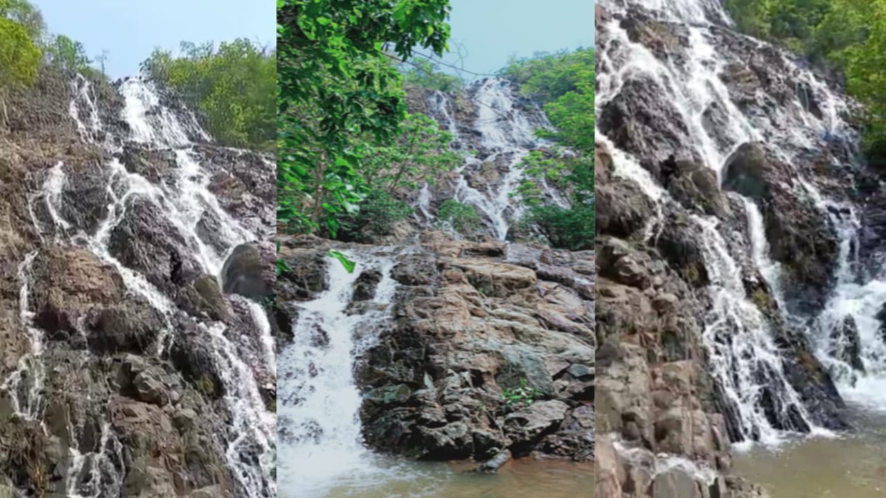चांडिल के दाराकोचा फॉल का देखिये अद्भूत नजारा, ऊंचाई से गिरता पानी लोगों को कर री आकर्षित, नक्सल प्रभावित क्षेत्र में मूलभूत सुविधाओं का है अभाव